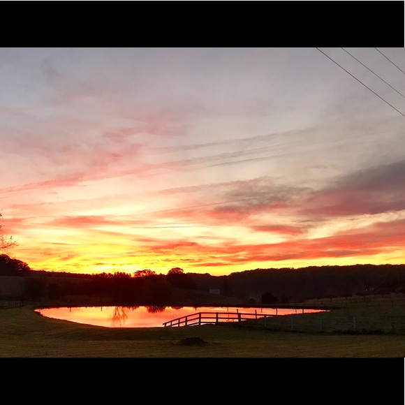 Meet your Posher, Daniela - Picture 2 of 2